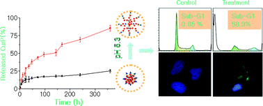 Graphical abstract: pH-responsive cancer-targeted selenium nanoparticles: a transformable drug carrier with enhanced theranostic effects