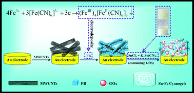 Graphical abstract: Sn–Fe cyanogels noncovalently grafted to carbon nanotubes in a versatile biointerface design: an efficient matrix and a facile platform for glucose oxidase immobilization