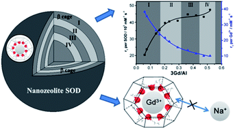 Graphical abstract: Microwave-assisted synthesis of Gd(iii)-loaded nanozeolite SOD as MRI contrast agent with remarkable stability in vivo