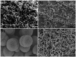 Graphical abstract: Effects of hydroxyapatite microparticle morphology on bone mesenchymal stem cell behavior