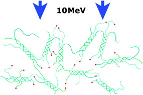 Graphical abstract: Tailoring the material properties of gelatin hydrogels by high energy electron irradiation