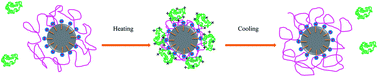 Graphical abstract: Fabrication of temperature- and pH-sensitive liquid-crystal droplets with PNIPAM-b-LCP and SDS coatings by microfluidics