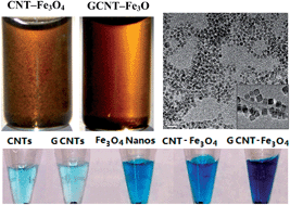Graphical abstract: Recyclable enzyme mimic of cubic Fe3O4 nanoparticles loaded on graphene oxide-dispersed carbon nanotubes with enhanced peroxidase-like catalysis and electrocatalysis
