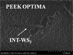 Graphical abstract: Nanocomposite biomaterials based on poly(ether-ether-ketone) (PEEK) and WS2 inorganic nanotubes