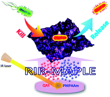 Graphical abstract: RIR-MAPLE deposition of multifunctional films combining biocidal and fouling release properties