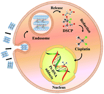 Graphical abstract: Novel Pt-loaded layered double hydroxide nanoparticles for efficient and cancer-cell specific delivery of a cisplatin prodrug