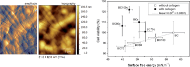 Graphical abstract: Bioactive nanocomposites of bacterial cellulose and natural hydrocolloids