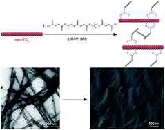 Graphical abstract: Synthesis and characterization of novel TiO2-poly(propylene fumarate) nanocomposites for bone cementation