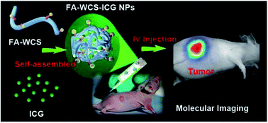 Graphical abstract: Self-assembly-induced near-infrared fluorescent nanoprobes for effective tumor molecular imaging