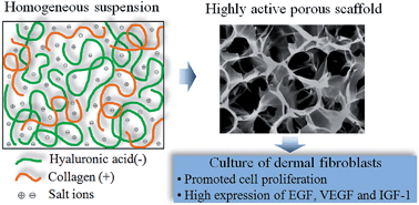Graphical abstract: Highly active porous scaffolds of collagen and hyaluronic acid prepared by suppression of polyion complex formation
