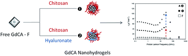 Graphical abstract: Tuning the composition of biocompatible Gd nanohydrogels to achieve hypersensitive dual T1/T2 MRI contrast agents