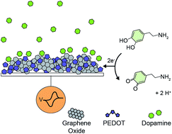 Graphical abstract: A graphene oxide/conducting polymer nanocomposite for electrochemical dopamine detection: origin of improved sensitivity and specificity