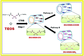 Graphical abstract: Mesoporous organosilica hybrids with a tunable amphoteric framework for controlled drug delivery