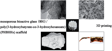 Graphical abstract: Three dimensionally printed mesoporous bioactive glass and poly(3-hydroxybutyrate-co-3-hydroxyhexanoate) composite scaffolds for bone regeneration