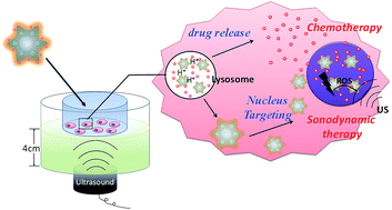 Graphical abstract: Dual-core@shell-structured Fe3O4–NaYF4@TiO2 nanocomposites as a magnetic targeting drug carrier for bioimaging and combined chemo-sonodynamic therapy