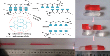 Graphical abstract: An intermolecular quadruple hydrogen-bonding strategy to fabricate self-healing and highly deformable polyurethane hydrogels