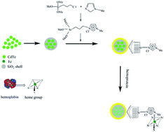 Graphical abstract: Facile synthesis of ionic liquid functionalized silica-capped CdTe quantum dots for selective recognition and detection of hemoproteins