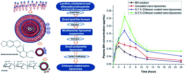 Graphical abstract: Chitosan-coated nano-liposomes for the oral delivery of berberine hydrochloride