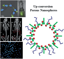 Graphical abstract: Er3+-doped YbPO4 up-conversion porous nanospheres for UCL/CT bimodal imaging in vivo and chemotherapy