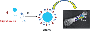 Graphical abstract: Functionalized carbon dots enable simultaneous bone crack detection and drug deposition