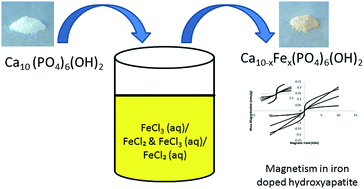 Graphical abstract: An intrinsically magnetic biomaterial with tunable magnetic properties