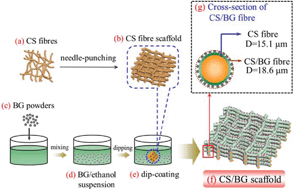 Graphical abstract: Fabrication of a chitosan/bioglass three-dimensional porous scaffold for bone tissue engineering applications