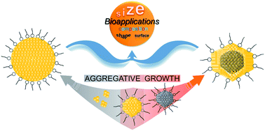 Graphical abstract: An aggregative growth process for controlling size, shape and composition of metal, alloy and core–shell nanoparticles toward desired bioapplications