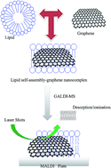 Graphical abstract: Graphene nanoflakes as an efficient ionizing matrix for MALDI-MS based lipidomics of cancer cells and cancer stem cells