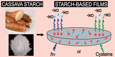 Graphical abstract: Light-triggered and cysteine-mediated nitric oxide release from a biodegradable starch-based film