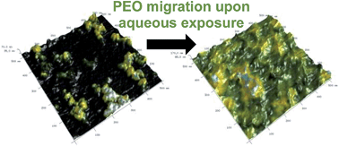 Graphical abstract: Direct observation of the nanocomplex surface reorganization of antifouling silicones containing a highly mobile PEO-silane amphiphile