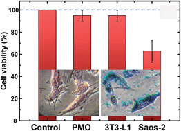 Graphical abstract: In vitro application of Mn-ferrite nanoparticles as novel magnetic hyperthermia agents