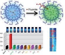 Graphical abstract: Coumarin dye-embedded semiconducting polymer dots for ratiometric sensing of fluoride ions in aqueous solution and bio-imaging in cells