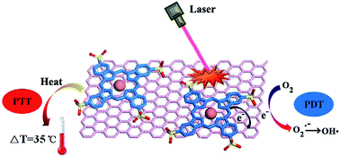 Graphical abstract: Graphene loading water-soluble phthalocyanine for dual-modality photothermal/photodynamic therapy via a one-step method