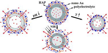 Graphical abstract: Hollow hierarchical hydroxyapatite/Au/polyelectrolyte hybrid microparticles for multi-responsive drug delivery