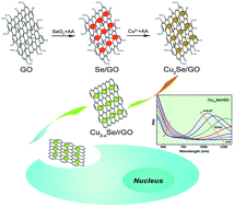 Graphical abstract: Hydrophilic Cu2−xSe/reduced graphene oxide nanocomposites with tunable plasmonic properties and their applications in cellular dark-field microscopic imaging