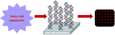 Graphical abstract: Site-specific immobilization of DNA on silicon surfaces by using the thiol–yne reaction