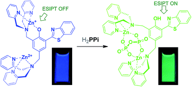 Graphical abstract: A benzothiazole-based sensor for pyrophosphate (PPi) and ATP: mechanistic insight for anion-induced ESIPT turn-on