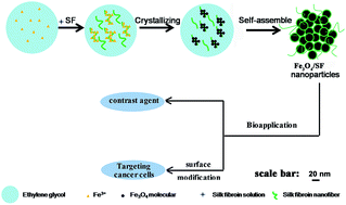 Graphical abstract: One-step synthesis of biocompatible magnetite/silk fibroin core–shell nanoparticles