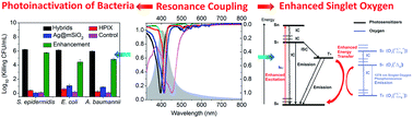 Graphical abstract: Surface plasmon-photosensitizer resonance coupling: an enhanced singlet oxygen production platform for broad-spectrum photodynamic inactivation of bacteria