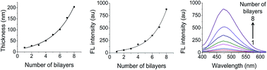 Graphical abstract: Monitoring layer-by-layer self-assembly process of natural polyelectrolytes by fluorescent bioconjugate with aggregation-induced emission characteristic