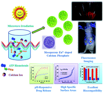 Graphical abstract: Multifunctional biodegradable mesoporous microspheres of Eu3+-doped amorphous calcium phosphate: microwave-assisted preparation, pH-sensitive drug release, and bioimaging application