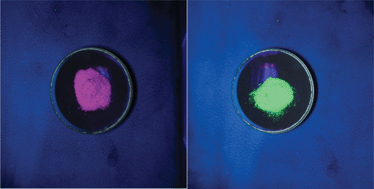 Graphical abstract: Simple, common but functional: biocompatible and luminescent rare-earth doped magnesium and calcium hydroxides from miniemulsion