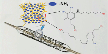Graphical abstract: A biocompatible and functional adhesive amine-rich coating based on dopamine polymerization