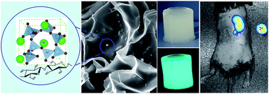 Graphical abstract: Construction of cellulose–phosphor hybrid hydrogels and their application for bioimaging