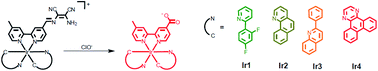 Graphical abstract: Phosphorescent iridium(iii) complexes as multicolour probes for imaging of hypochlorite ions in mitochondria