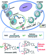 Graphical abstract: Selective intracellular free radical generation against cancer cells by bioactivation of low-dose artesunate with a functionalized mesoporous silica nanosystem