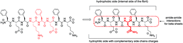 Graphical abstract: Rational design of a hexapeptide hydrogelator for controlled-release drug delivery