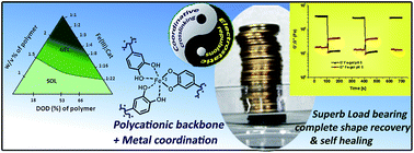 Graphical abstract: Robust, self-healing hydrogels synthesised from catechol rich polymers