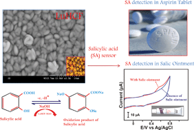 Graphical abstract: Controlled electrochemical synthesis of new rare earth metal lutetium hexacyanoferrate on reduced graphene oxide and its application as a salicylic acid sensor