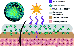 Graphical abstract: Nanodispersed UV blockers in skin-friendly silica vesicles with superior UV-attenuating efficiency